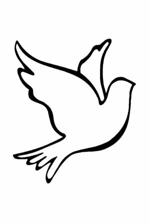 Трафареты Голубь