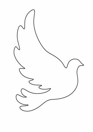Голубь красивый трафарет