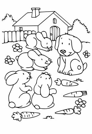 Раскраска Ферма Кролики