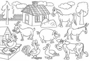 Раскраски Ферма с домашними животными