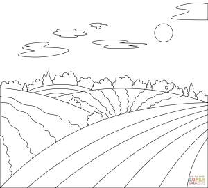 Раскраска Фермерские поля