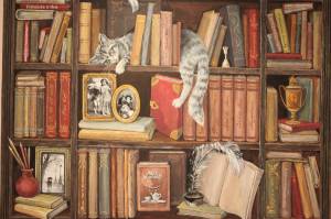 Книжный шкаф рисунок