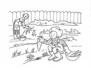 Раскраска Огород