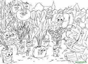 Раскраски Раскраска Огород овощей овощи