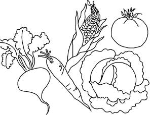 Раскраска огород с овощами для детей