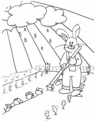 Раскраски Раскраска Зайчик в огороде огород детские