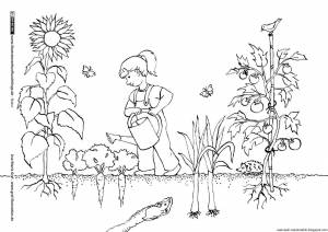 Рисунок на тему огород