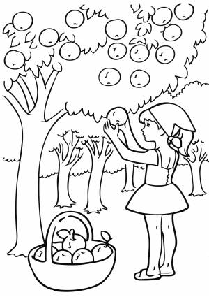 Сбор урожая рисунок карандашом