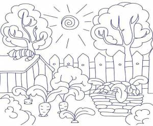 Огород в картинках для детей