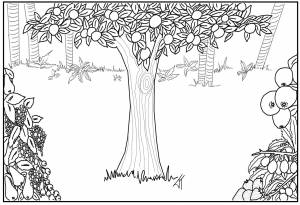 Рисунок райский сад карандашом