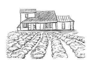 DataLife Engine > Версия для печати > Огород рисунок карандашом