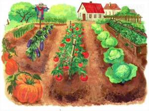 Мультяшный огород