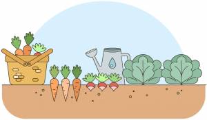 Мультяшный огород