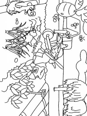 Раскраска Сад   в формате