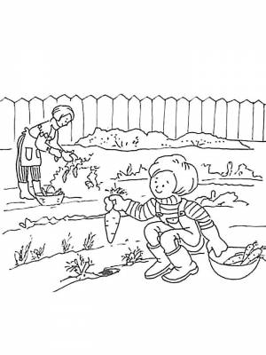 Раскраска Сад   в формате