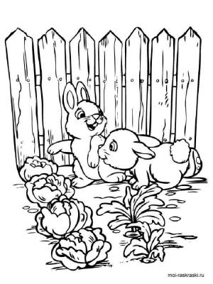 Раскраска Сад