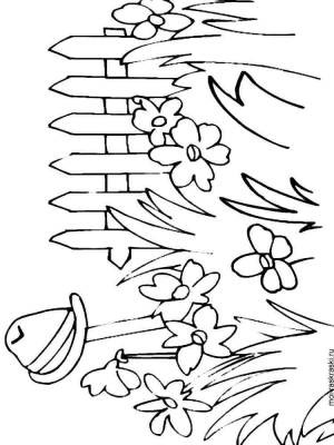 Раскраска Сад
