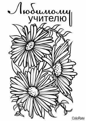 Раскраски ко Дню Учителя