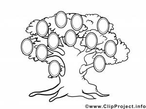 Древо семьи раскраска