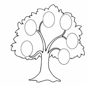 Родственное дерево рисунок