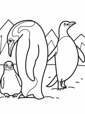 Картинка Антарктида  раскраску