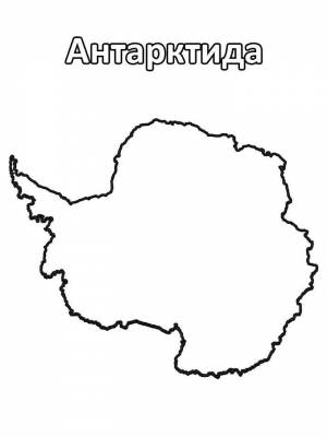 Картинка Антарктида черно белая для мальчиков