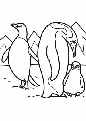 Раскраски Антарктида для детей