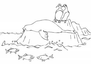 Раскраска антарктида