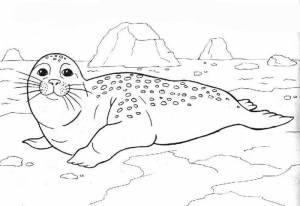 Рисунок арктики карандашом для 4 класса с животными, окружающий мир