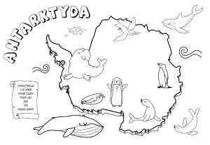 Раскраски животные арктики и антарктиды