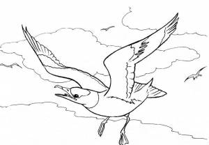 Раскраски Антарктида