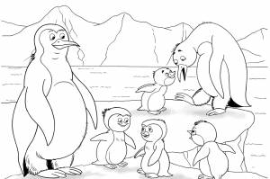 Животные антарктиды раскраска