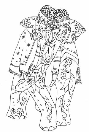 Раскраска Индийский слон