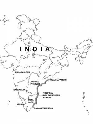Раскраски Индия   в формате