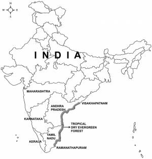 Рисунки карта индии