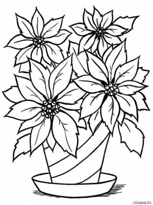 Раскраска Горшок цветами