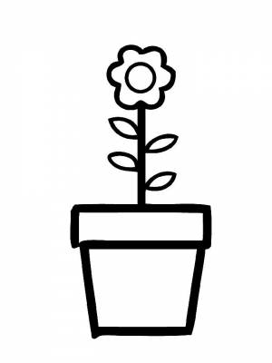 Раскраска Горшок с цветами секрет