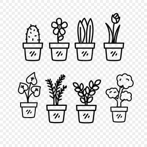 рисунок набор комнатных растений на горшках векторная иллюстрация с простой дизайн черной линии PNG , рисунок дома, рисунок растения, рисунок крысы PNG картинки и пнг рисунок для й загрузки