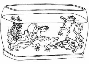 Раскраска аквариум с рыбками