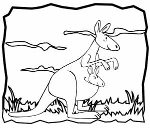 Раскраска кенгуру в Австралии