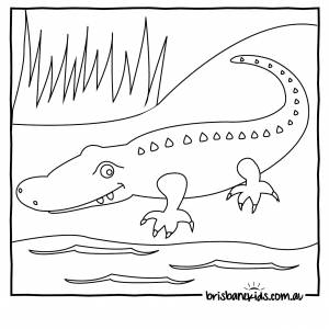 DataLife Engine > Версия для печати > Раскраски животные австралии