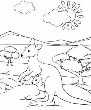 Раскраски животных Австралии для детей