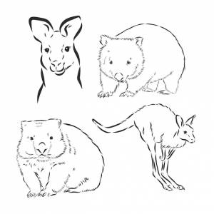 Вомбат рука рисунок животные австралии серии винтаж стиль гравировки векторное искусство