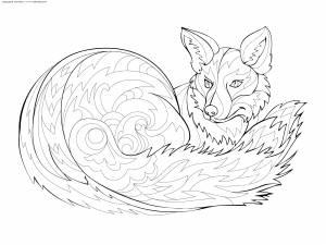 Раскраска Лиса
