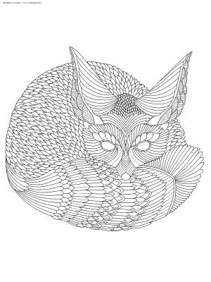 Раскраска Лиса