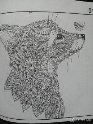 Отзыв о Раскраска-антистресс Рисунки для медитаций