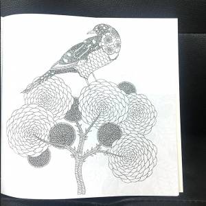 Книжка-раскраска антистресс для детей и взрослых, 24 страницы