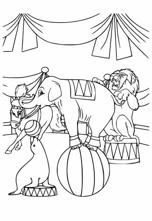 Раскраска Цирк Арена