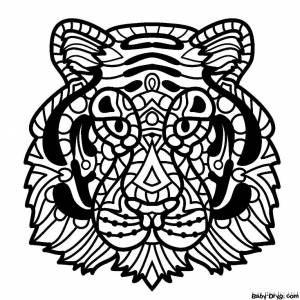 Раскраска Антистресс мордочка тигра