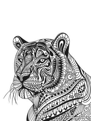 Раскраски сложные животные тигры